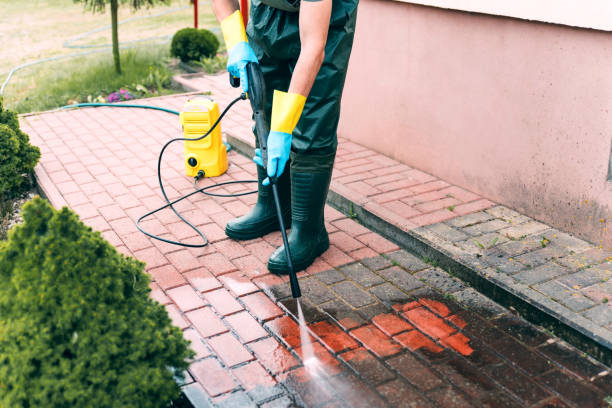 Best Dumpster Area Cleaning  in La Mesa, CA