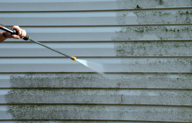 Professional Pressure Washing Services in La Mesa, CA